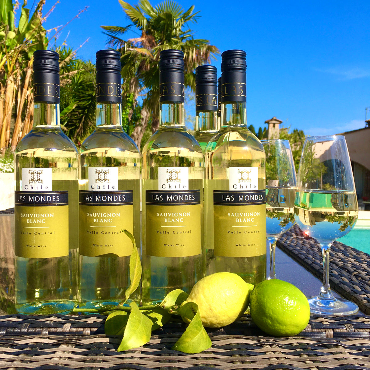 Summer White Wine and Food Pairing Brad's Wine