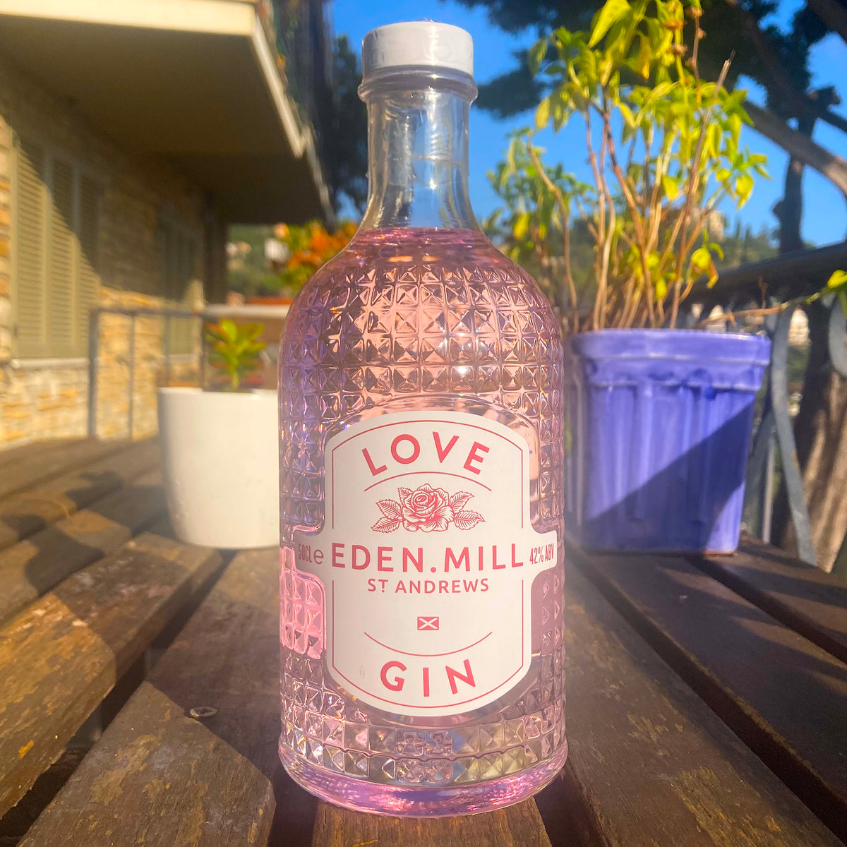 Win a bottle of Eden Mill Love Gin! Brad's Wine