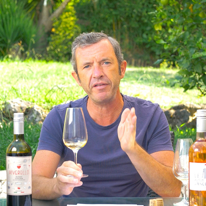 Wine Basics with Brad: 5 Things Every Beginner Should Know