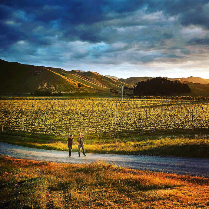 New Zealand - The Land of the Long White Cloud - An Extraordinary Wine Evolution