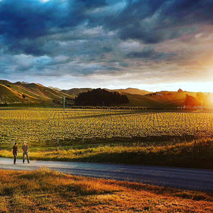 Our Partners . Ben and Luc Cowley at Auntsfield Estate in New Zealand