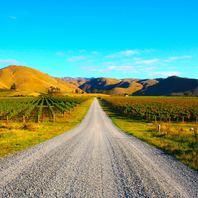 Terroir: Wine and the Weather - How Climate Shapes the Bottle in Your Hand