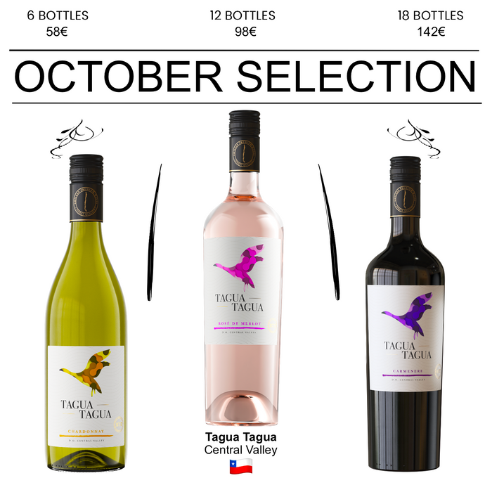 Three Exceptional Chilean Wines Included in This Month's Subscription Case