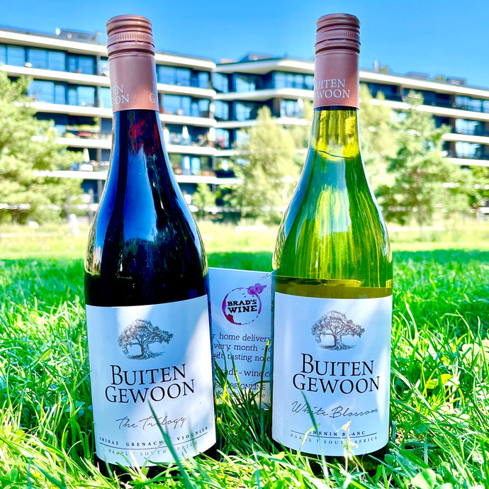 Flagship South African Wines from the Western Cape this August!