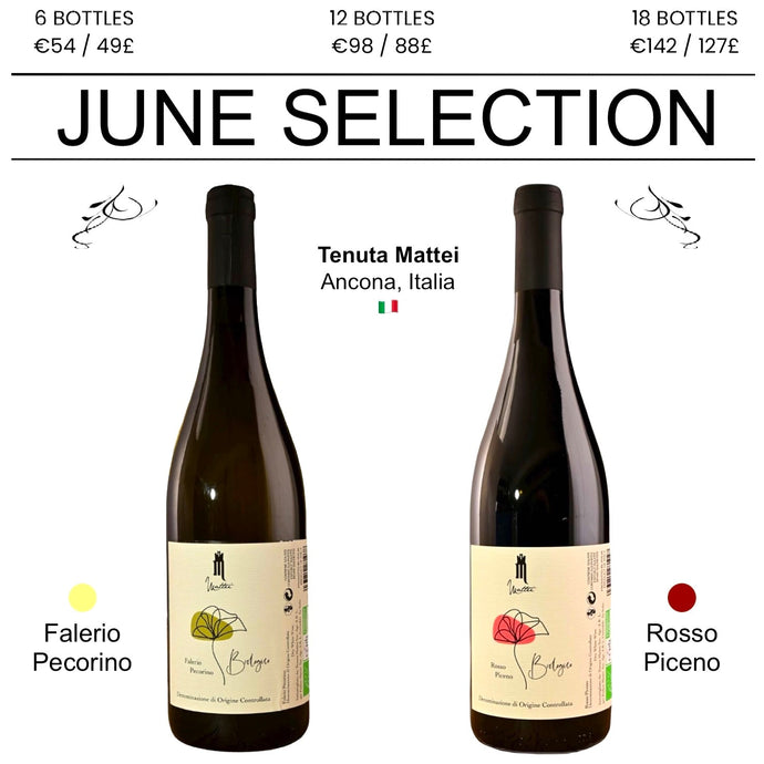 Our June Subscription Wines Are Now Available Online! Order Your First Case..
