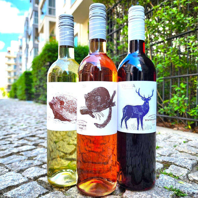 The Resurgence of the Czech Republic Wine Industry