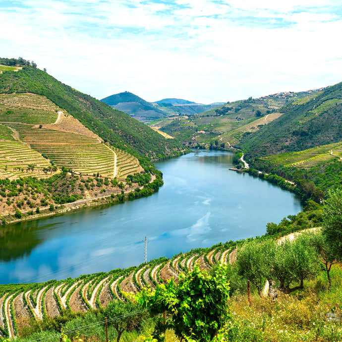 Portugal’s Unique Wine History: A Legacy of Tradition and Innovation