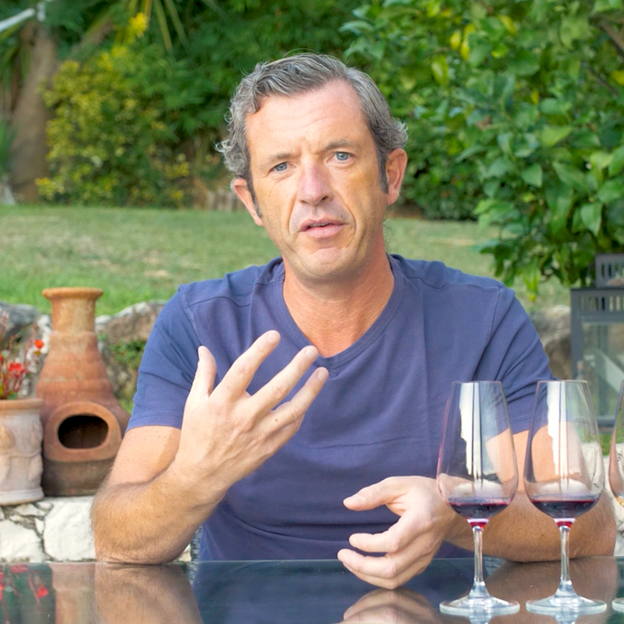 Learn With Brad - What Are Tannins In Wine?