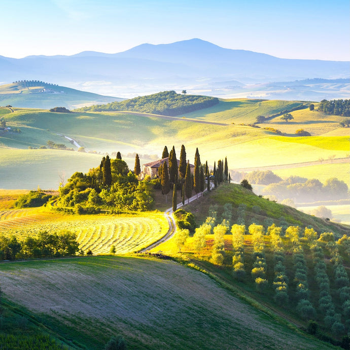 Great Tuscany Wines in Brad's Subscription Cases this December