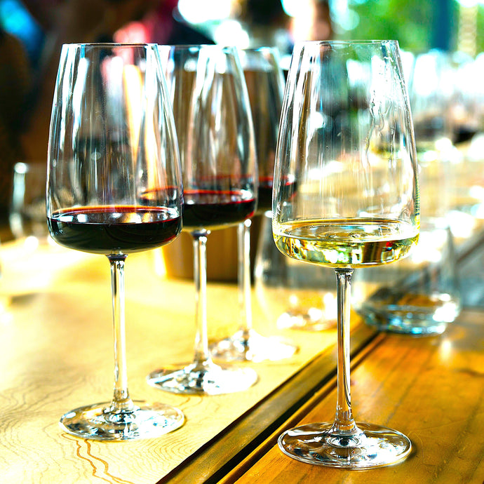 The Basics of Wine Terminology : A Guide for Beginners