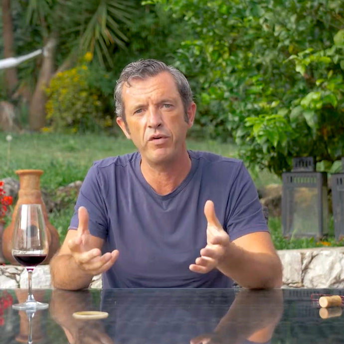 Decoding the Language of Wine: A Simple Guide for Enthusiasts