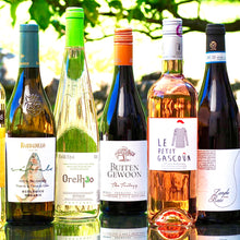 Load image into Gallery viewer, The Easy-Drinker Wine Case .  Mixed Colours
